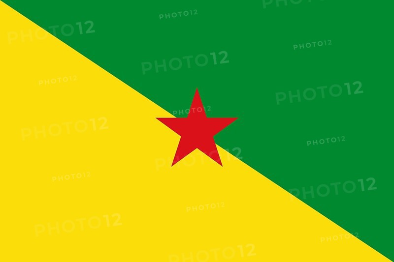 Flag of French Guiana, Vector illustration