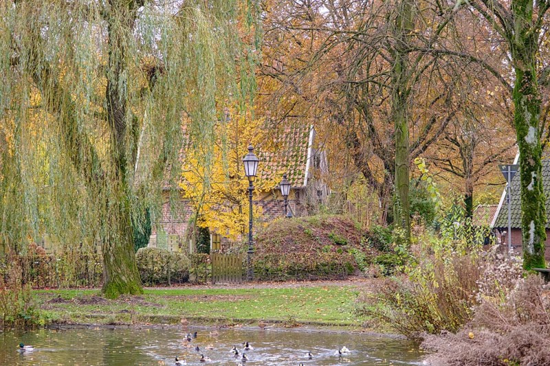 A park with a pond and ducks, surrounded by autumn trees, weseke, münsterland, germany