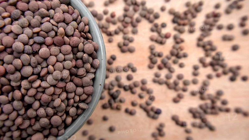 Whole Brown Lentils in a Blue Bowl, Top View, Close-Up Shot, Vegan Food, Copyspace