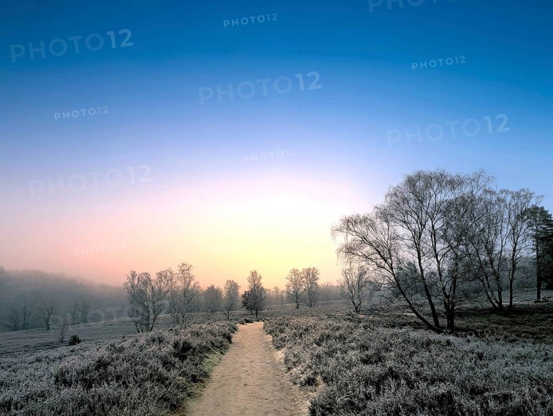 Hiking in winter with frost in the Fischbeker Heide in Hamburg