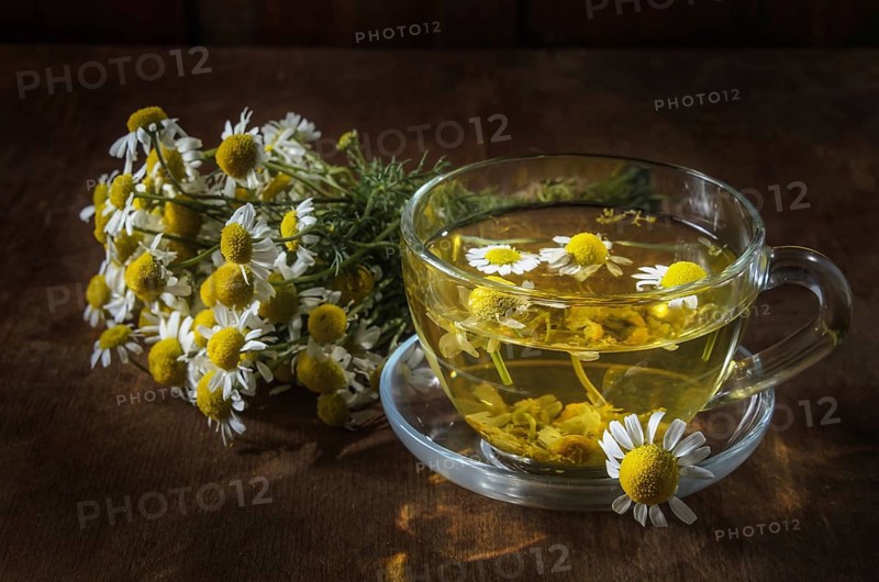 Herbal tea cup and daisy medicinal herbs bunches on wooden board