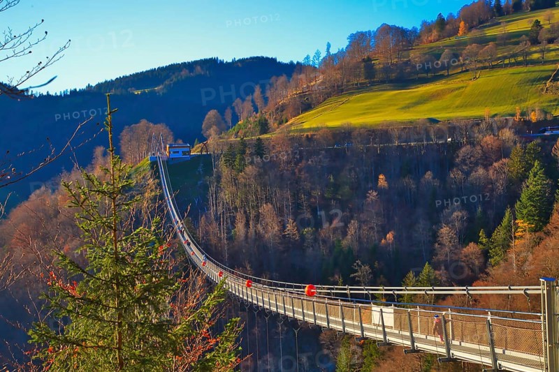 A suspension bridge leads over a wooded landscape with a meadow slope in the background, Black Forest Line, suspension bridge, Todtnau, Baden- Württemberg, Germany, Europe