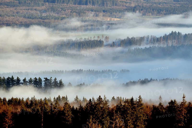 View of the forest from a hiking trail in the Hunsrück-Hochwald National Park in sunshine and fog on a winter morning, Rhineland-Palatinate, Germany, Europe