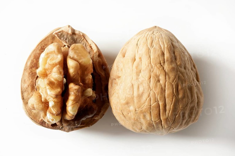 Walnut and shell isolated macro over white background