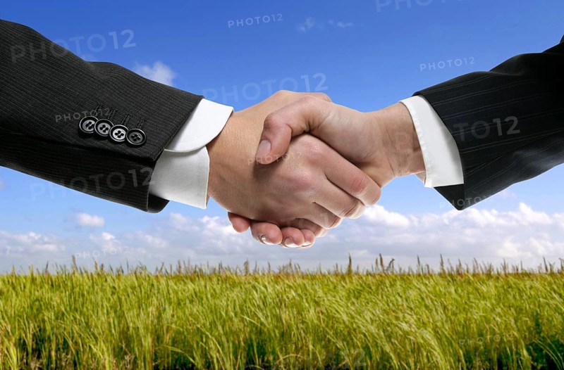 Businessman teamwork partners shaking hands in green nature