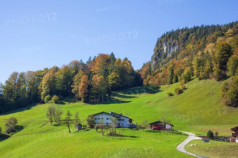 Alpine pasture with houses and forest near Maria Gern in autumn, Berchtesgarden Alps, Berchtesgaden, Berchtesgadener Land, Upper Bavaria, Bavaria, Germany, Europe