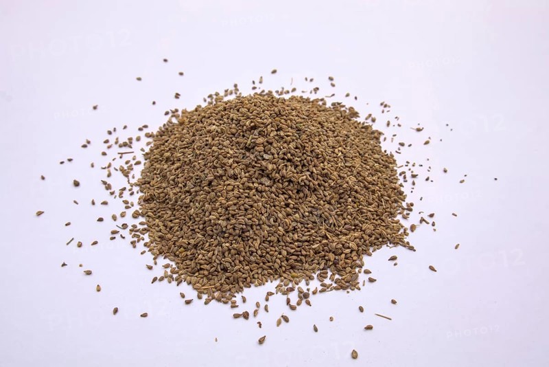 Carom Seeds, Bishop's Weed, Thymol Seeds, Ajwain, Isolated, White Background