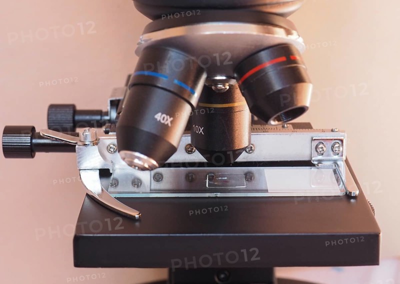 Light microscope detail