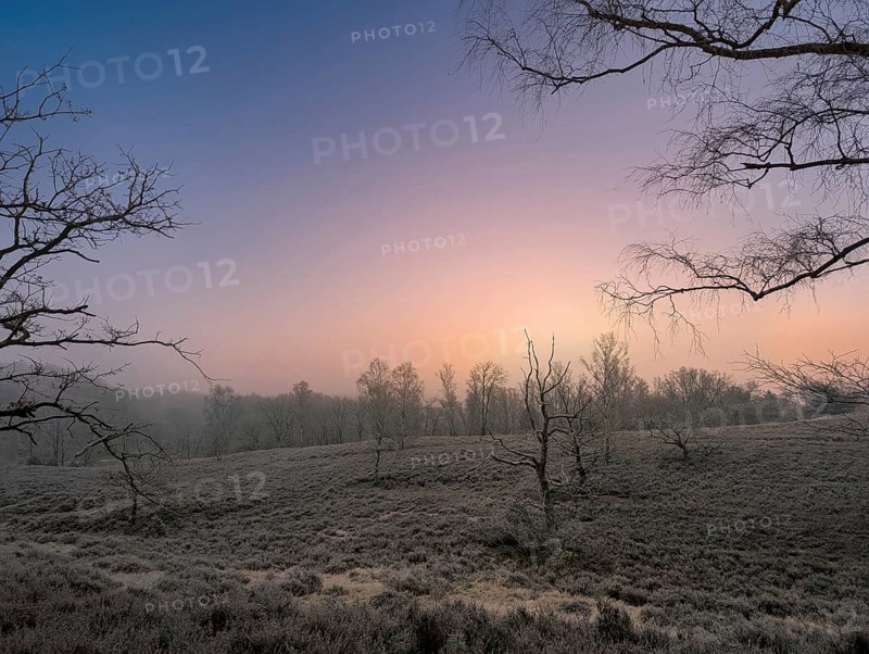Hiking in winter with frost in the Fischbeker Heide in Hamburg