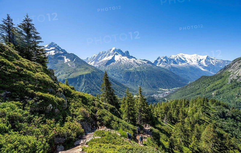 Mountain panorama with glaciated mountain peaks, Aiguille Verte with Aiguille du Midi and Mont Blanc, hike to Aiguillette des Posettes, Chamonix, Haute-Savoie, France, Europe