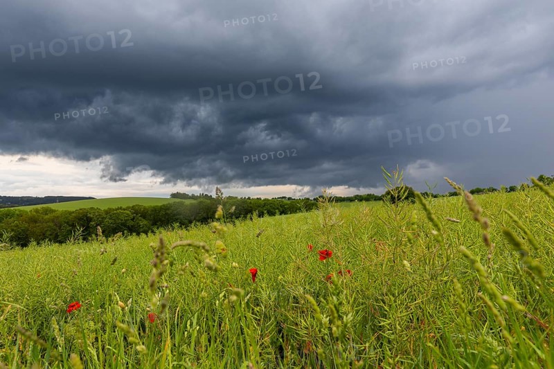 Heavy rain showers and thunderstorms over Possendorf in the Eastern Ore Mountains, Possendorf, Saxony, Germany, Europe