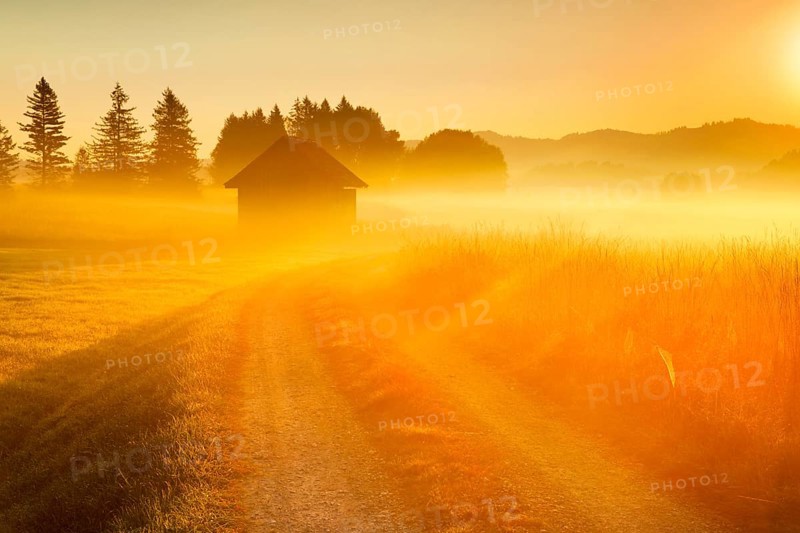 Golden morning light streams through fields of fog and the Rothenthurm high moor, Schwyz, Switzerland, Europe