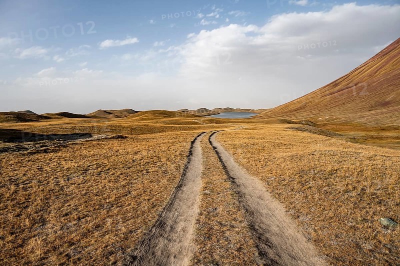 Track through hilly landscape with yellow grass, Trans Alay Mountains, Pamir Mountains, Osh Province, Kyrgyzstan, Asia
