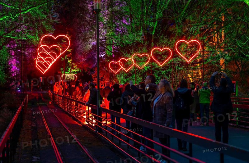 Parkleuchten, event in winter, in the Grugapark in Essen, many different light installations, across the park, attract many thousands of visitors, North Rhine-Westphalia, Germany, Europe