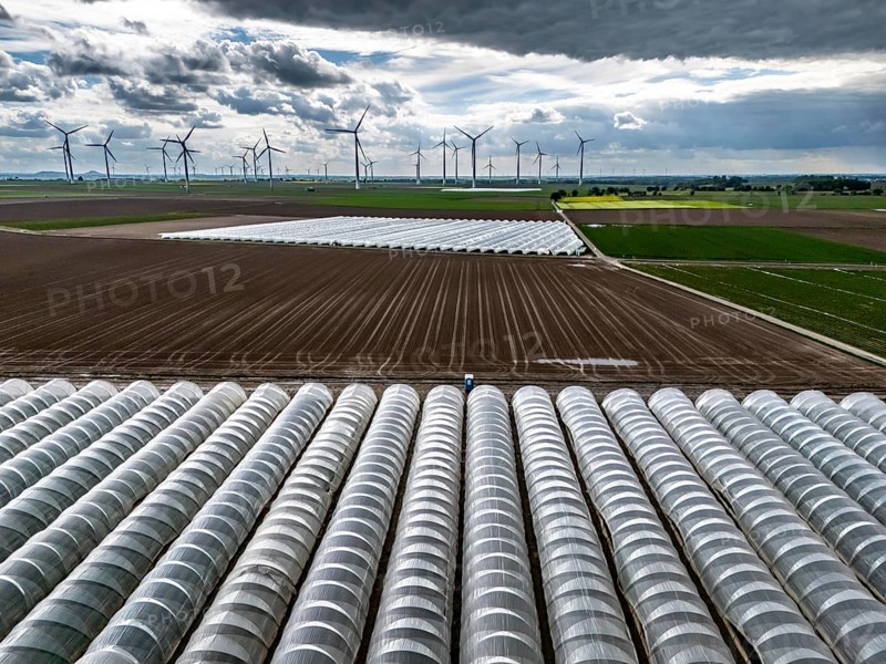 Agriculture, large areas with foil tunnel, for the cultivation of strawberries, freshly cultivated fields, wind farm, south of Lövenich, belongs to Erkelenz, in the district of Heinsberg