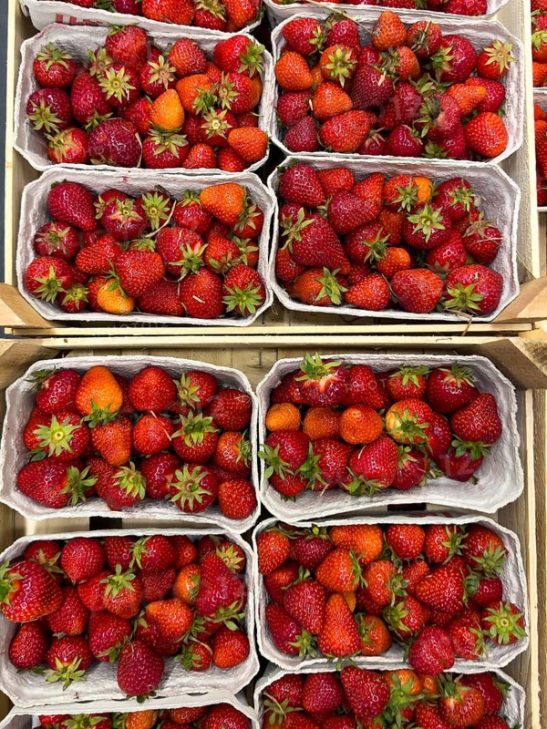Fresh strawberries (Fragaria) fresh fruit for healthy eating on display from fruit merchants grocers greengrocers retail wholesalers, international