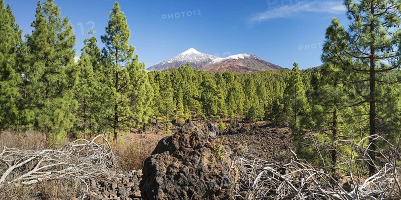 Arena Negras, behind it Pico del Teide, 3715m and Pico Viejo, 3135m, National Park Teide, Tenerife, Canary Islands, Spain, Europe