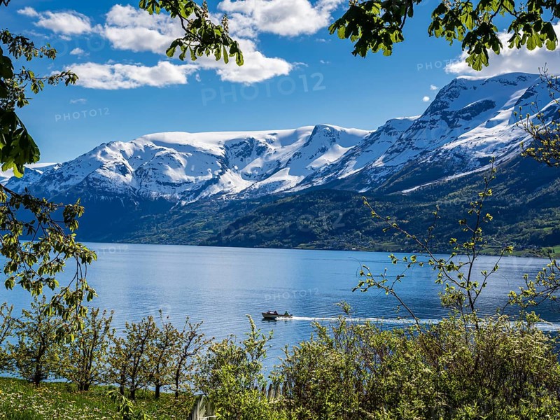 Boat on the fjord, view of snow-covered mountains, fjord and apple trees in bloom, spring, Hardangerfjord near Lofthus, Hardanger, Norway, Europe