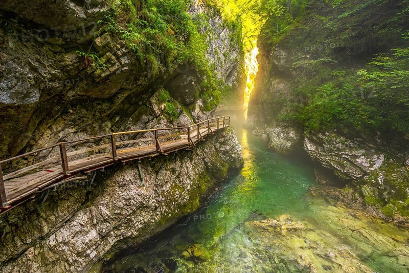 Sunlight filters through a narrow canyon illuminating a wooden walkway over a clear emerald river in vintgar gorge near bled, slovenia