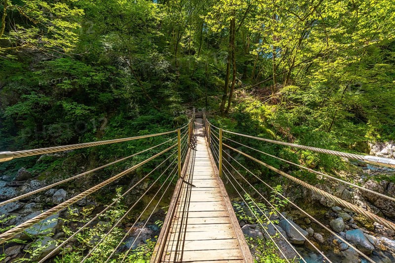 Scenic view of a wooden suspension bridge crossing over a clear stream in the lush tolmin gorges, a popular natural attraction in slovenia