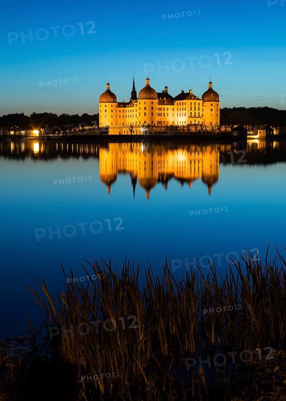 Castle with reflection in the castle pond in the evening, Moritzburg, Saxony, Germany, Europe
