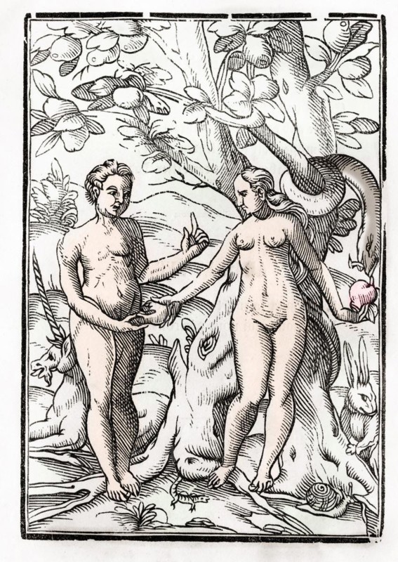 Adam und Eva im Garten Eden Aus Der Todten Tanz oder The Dance of Death erschienen in Basel 1843, Adam and Eve in the Garden of Eden From Der Todten Tanz or The Dance of Death published Basel 1843, Historic, digitally restored reproduction from a 19th century original, Record date not stated