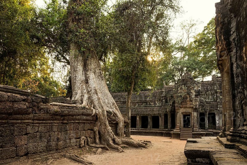 Ta Prohm, Angkor Wat, Angkor, UNESCO World Heritage Site, Siem Reap, Cambodia, Indochina, Southeast Asia, Asia