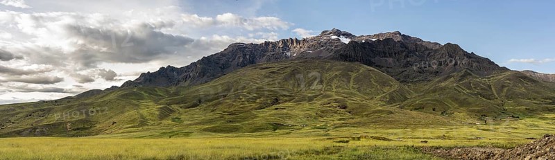 Peruvian highland vegetation, Kunka, Abra La Raya, Peru, South America