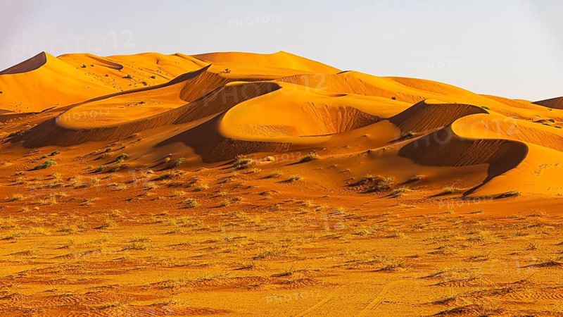 Wind-sculpted curved sand dunes in the Rub al Khali desert, Dhofar province, Arabian Peninsula, Sultanate of Oman