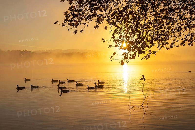 Sunrise, autumnal atmosphere at Lake Baldeney, near Haus Scheppen, in Essen, North Rhine-Westphalia, Germany, Europe