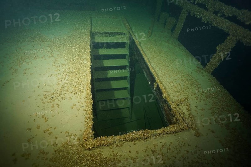 An open entrance on a shipwreck surrounded by water, covered with mussels, quagga triangle mussel (Dreissena rostriformis bugensis), invasive species, dive site wreck of the Jura, Lake Constance, Bottighofen, Switzerland, Münsterlingen, Germany, Europe