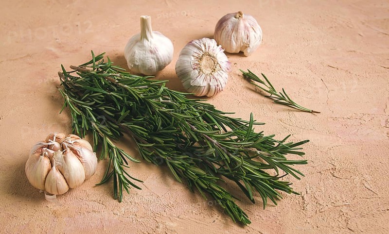 Fresh bunch of rosemary with garlic, on a beige background, food concept
