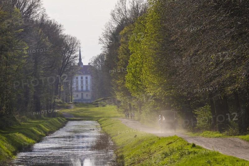 Canal between the hunting lodge and the Fasanenschlösschen with a carriage on a round trip, Moritzburg, Saxony, Germany, Europe