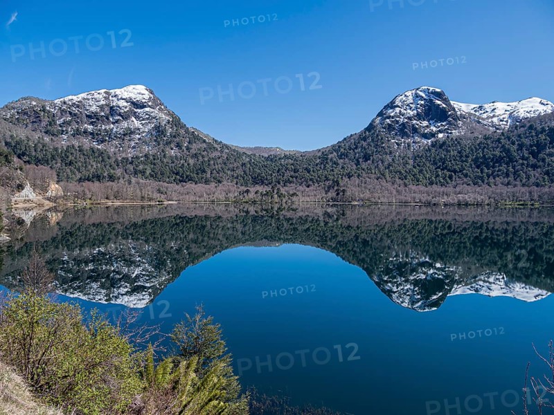 Lake Lago Quilleihue, calm surface, reflections on the water, araucaria trees, Villarica NP near Paso Tromen Ó Mamuil Malal, Chile, South America