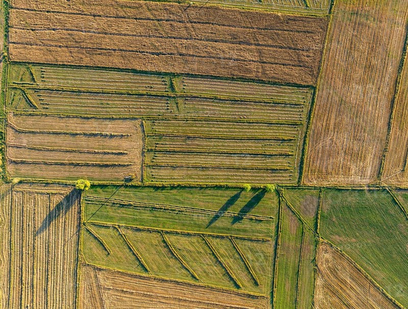 Aerial view, Cultivated fields, Agriculture, Landscape, Kyrgyzstan, Asia