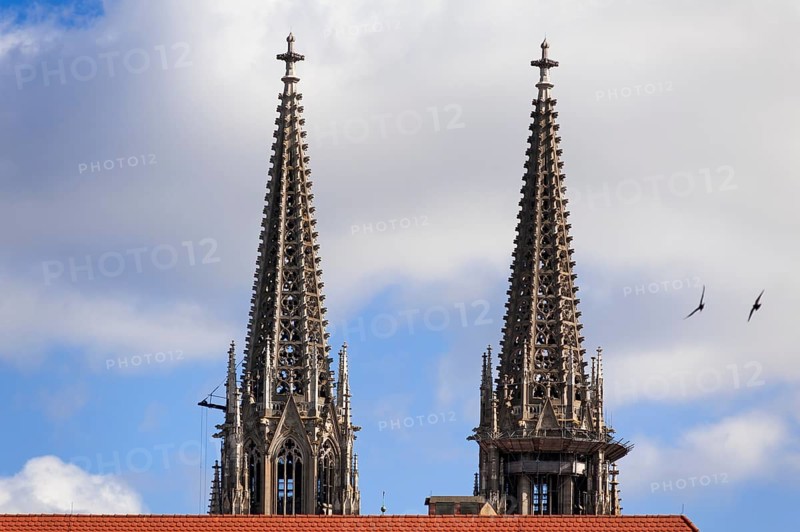 Spires, 1859-1869, from St Peter's Cathedral, Regensburg, Upper Palatinate. Bavaria, Germany, Europe