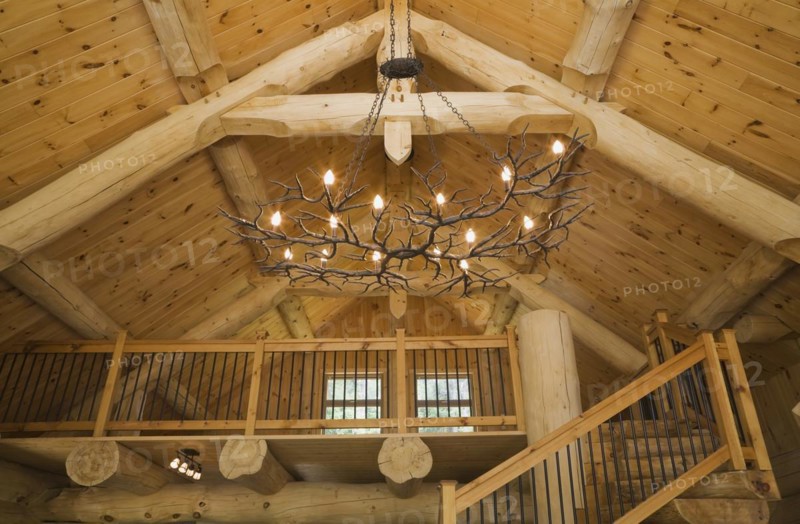 Knotty pine wood planks high cathedral ceiling with illuminated deer antlers chandelier, large bleached timber beams with tenon and mortise joints above living room inside handcrafted Eastern white pine Scandinavian log cabin home, Quebec, Canada, North America