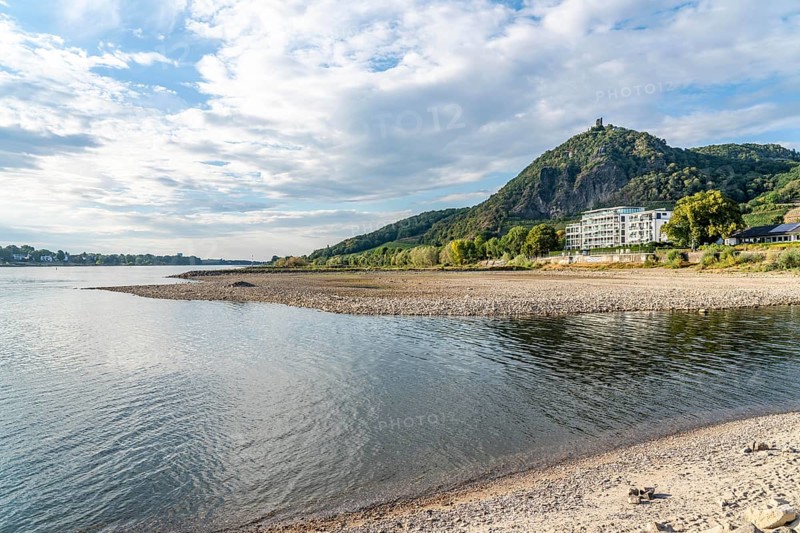 The Rhine at extremely low water, near Bad Honnef Rhöndorf, below the Drachenfels, Nonnenwerth Island, dry banks of the Rhine, North Rhine-Westphalia, Germany, Europe