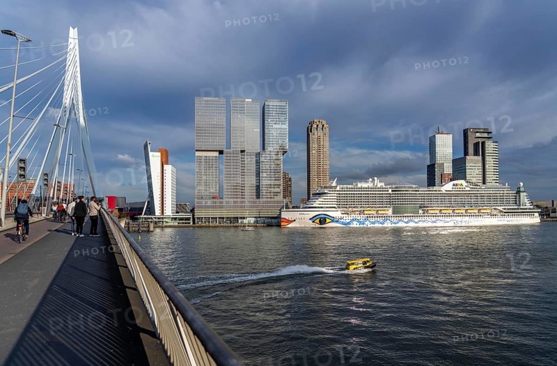 Rotterdam, skyline at the Nieuwe Maas, Erasmus Bridge, skyscrapers at the Kop van Zuid district, cruise ship Aida Prima at the Cruise Terminal, Netherlands