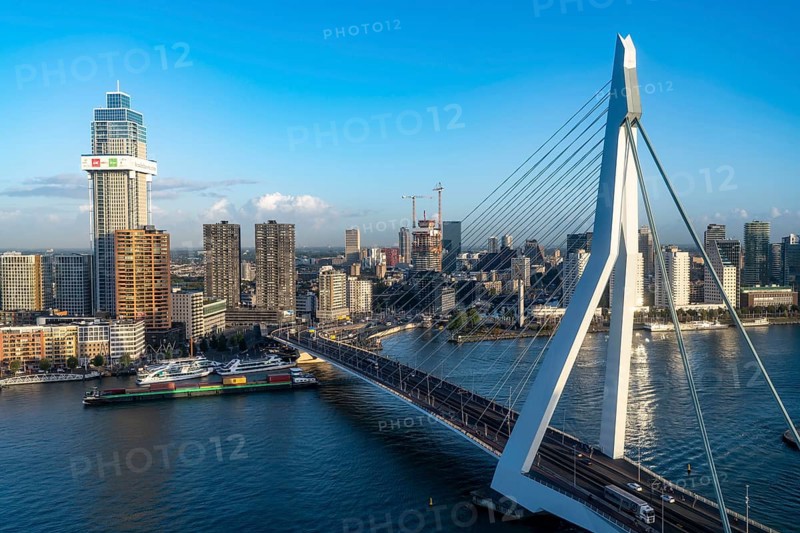 The skyline of Rotterdam, with the Erasmus Bridge over the Nieuwe Maas, Netherlands
