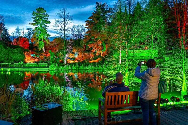 Parkleuchten, event in winter, in the Grugapark in Essen, many different light installations, across the park, attract many thousands of visitors, North Rhine-Westphalia, Germany, Europe