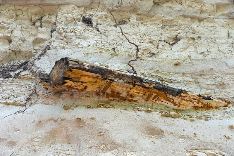 A fossilised piece of wood protruding from a stone wall, Petrified Forest, Lefkimis, Eastern Macedonia and Thrace, Greece, Europe