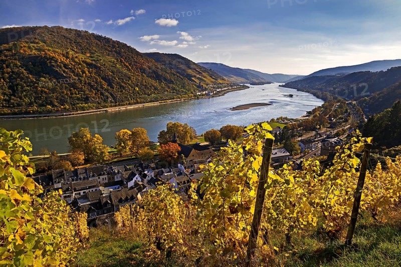 View of Bacharach on the Rhine in autumn with the Fürstental Silvaner wine-growing region, Upper Middle Rhine Valley, Rhineland-Palatinate, Germany, Europe