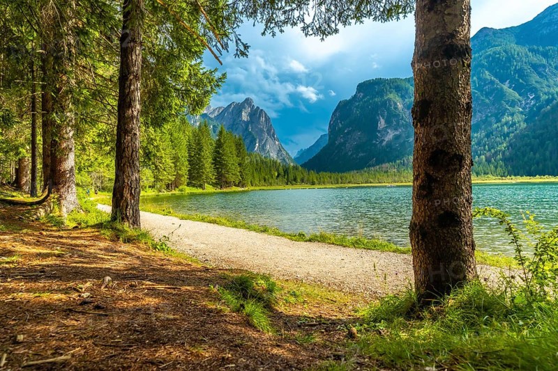 Breathtaking summer view of lake dobbiaco, nestled amidst the majestic dolomites, with a tranquil forest framing the serene landscape