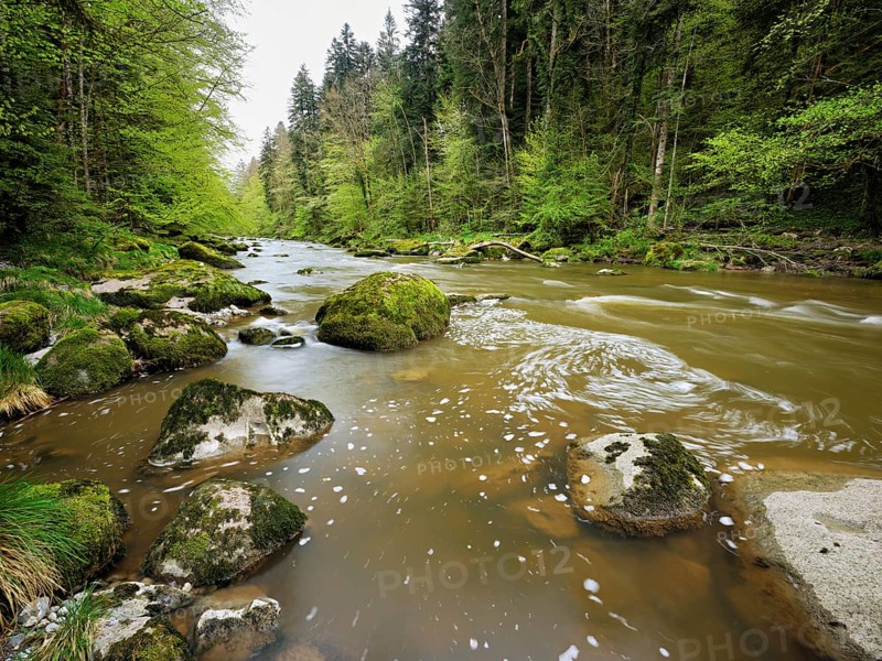 Moss-covered stones on the river Sihl, Sihlsprung, Menzingen, Canton Zug, Switzerland, Europe