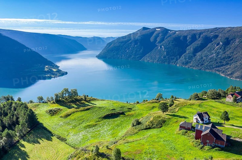 Aerial view of meadows and farms above the Lustrafjord, the inner Sognefjord, Norway, Europe