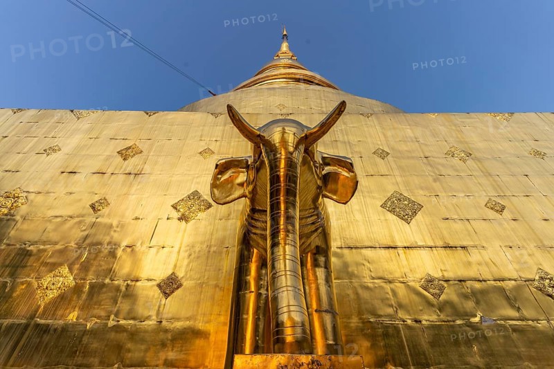 Elephant at the foot of the Golden Chedi Phrathatluang in the temple Wat Phra Singh, Chiang Mai, Thailand, Asia