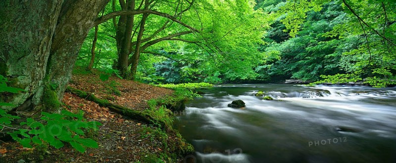 The River Bode with rapids in the Bode Valley between Thale and Treseburg, Harz Mountains, Saxony-Anhalt, Germany, Europe