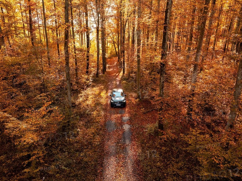 Car driving through an autumnal forest with golden yellow leaves and sunlight, electric car, VW ID5, Gechingen, Black Forest, Germany, Europe