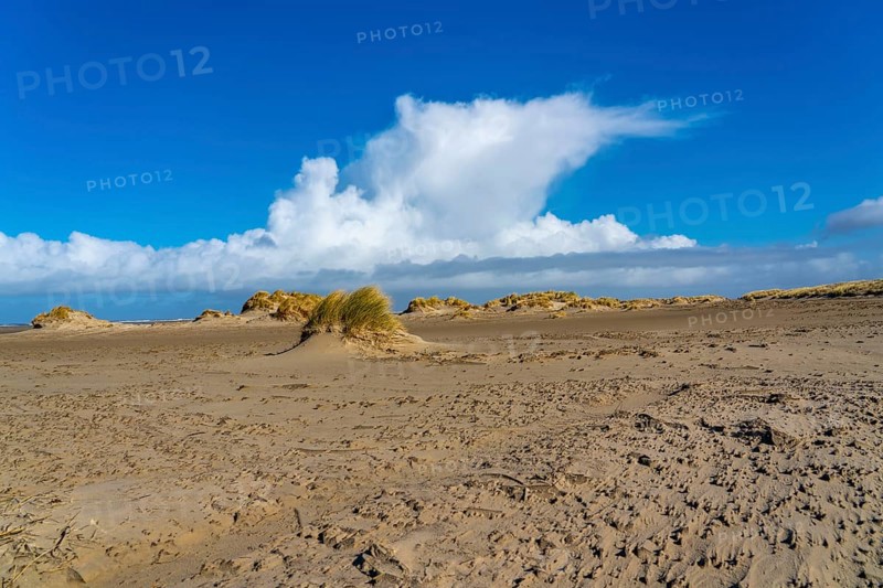 Dune landscape, sand dunes, dune grass in the west of Borkum, island, East Frisia, winter, season, autumn, Lower Saxony, Germany, Europe